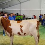 La Fiera agricola