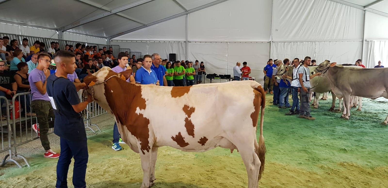 L’Agrario di Modica stravince alla Fiera agricola