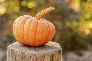 Dieta della zucca: depura e fa dimagrire