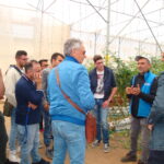 L'agrario di Modica visita l'orticoltura Arrabito a Donnalucata