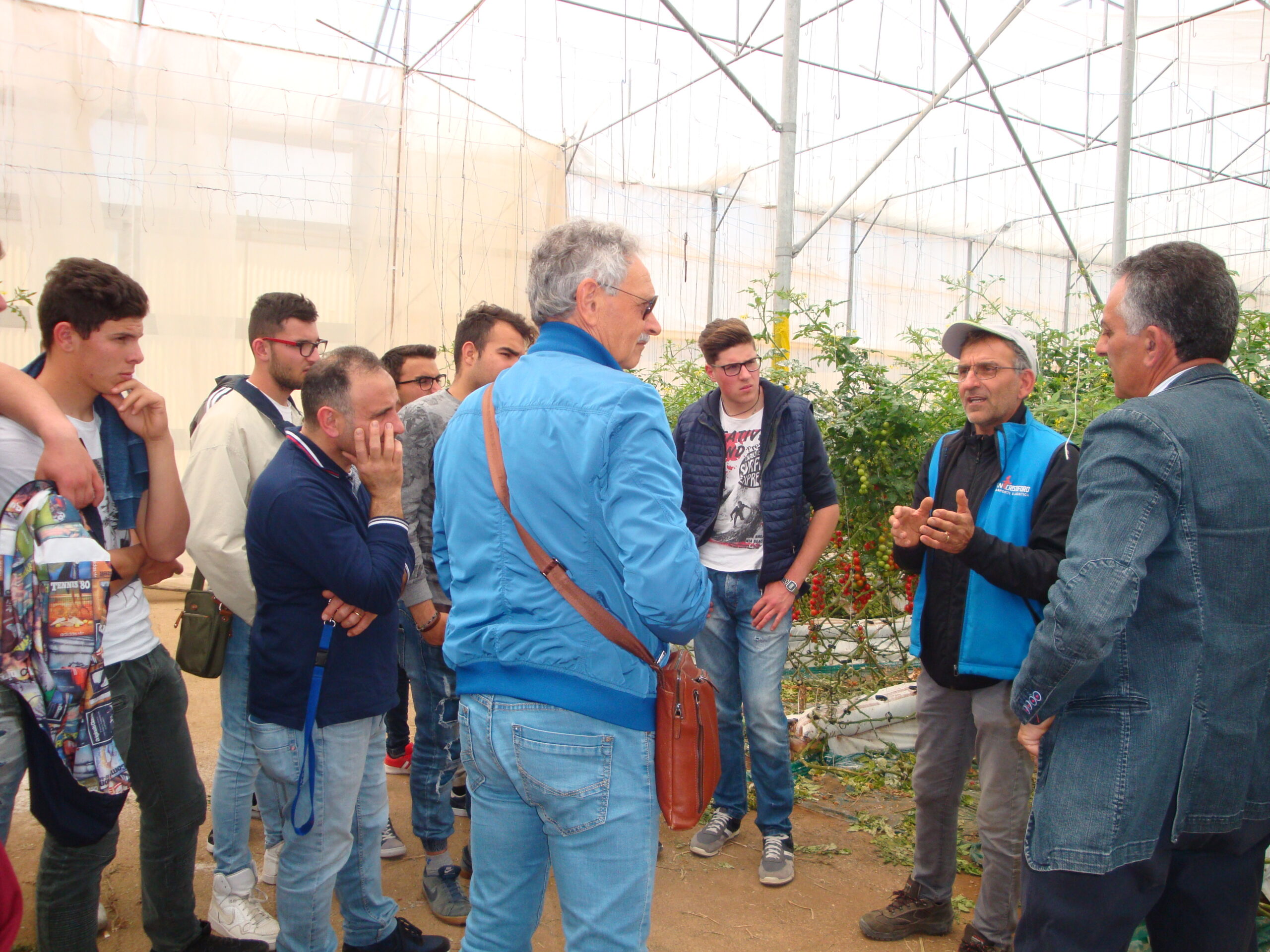L’agrario di Modica visita l’orticoltura Arrabito a Donnalucata. VIDEO
