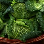 Dieta del cavolo: come perdere 5 chili in 7 giorni