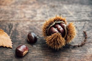 Posso mangiare le castagne se ho la glicemia alta?