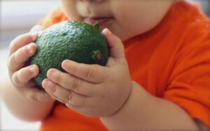 Cos'è e come funziona la baby diet: la dieta dei neonati