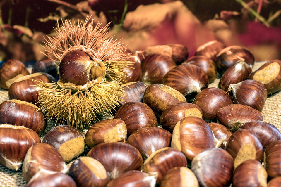 Nutrizione, castagne: integrarle nella dieta senza ingrassare
