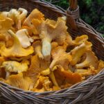 Dieta con i funghi per dimagrire con gusto
