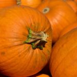 Dieta d'autunno: gli alimenti per contrastare la stanchezza