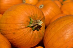Dieta d'autunno: gli alimenti per contrastare la stanchezza