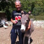 Affidati gli animali di Peppe Lucifora