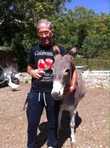 Affidati gli animali di Peppe Lucifora