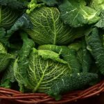 Novembre: pancia piatta con la dieta della verza