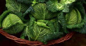 Novembre: pancia piatta con la dieta della verza