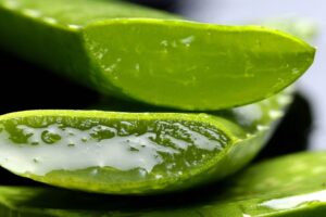 Dimagrire con l'aloe vera: ecco come fare