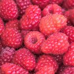 Dieta dei lamponi: come dimagrire con questo frutto gustoso