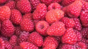 Dieta dei lamponi: come dimagrire con questo frutto gustoso