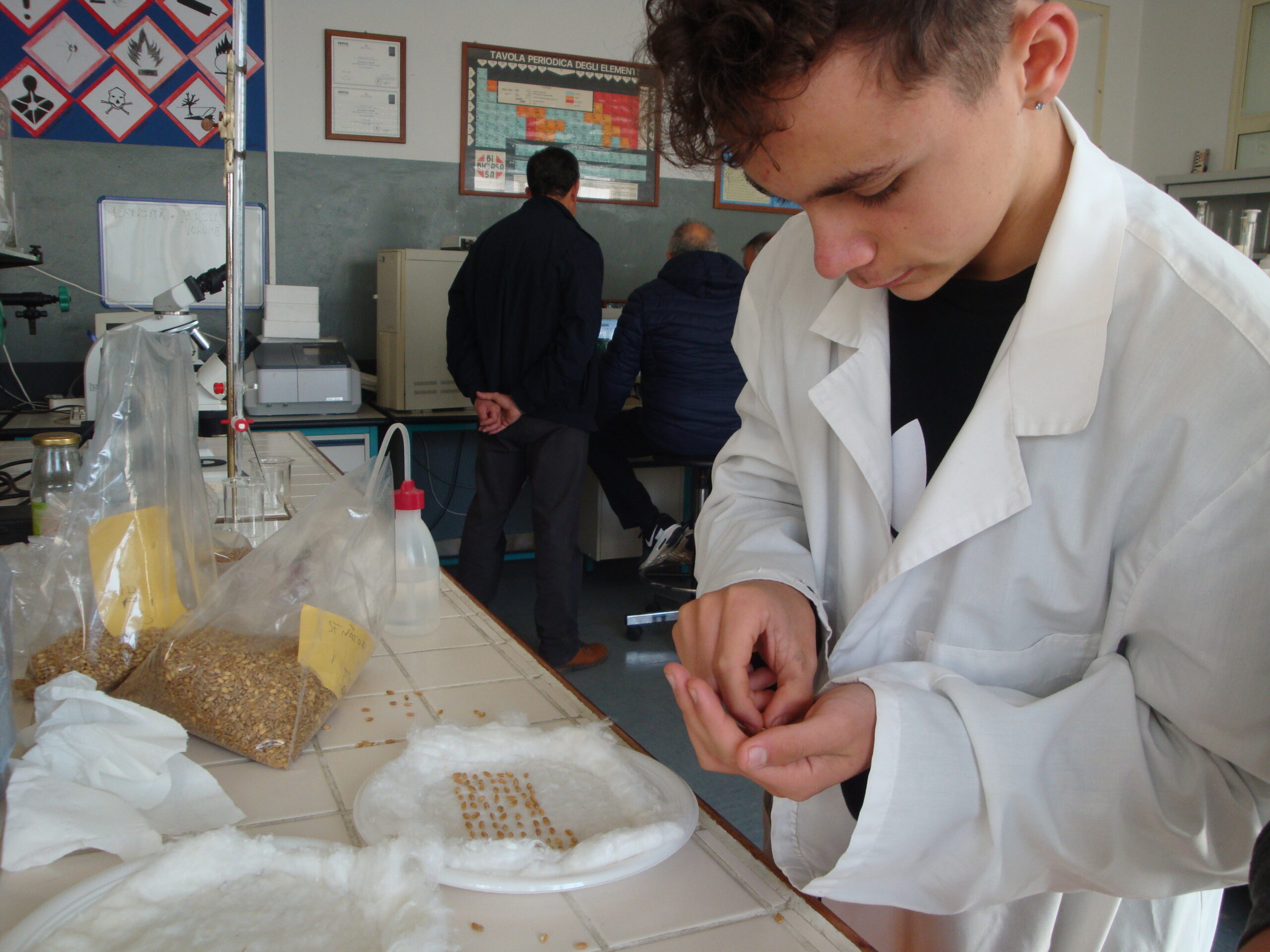 Al sementificio Ricca gli studenti imparano la granicoltura