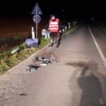 Fugge dopo aver investito ed ucciso un uomo, preso 21enne