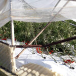 I danni della tromba d'aria alla Marza