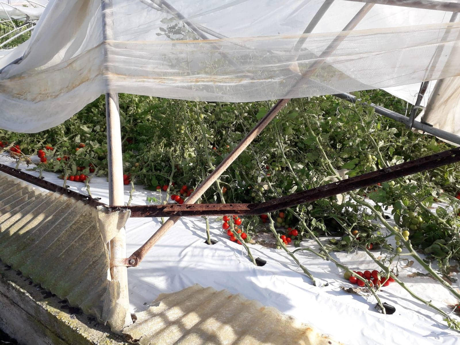 I danni della tromba d’aria alla Marza