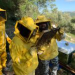 Apicoltura urbana a Ragusa