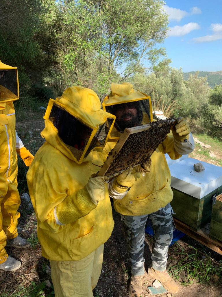 Apicoltura urbana a Ragusa