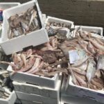 Bruciano rifiuti in area industriale: denunciati
