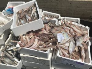 Bruciano rifiuti in area industriale: denunciati