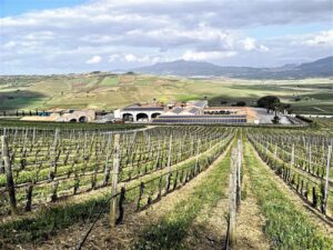 Mafia e vino, asse Trentino-Sicilia