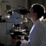 Il punto debole sta nel sistema di riproduzione