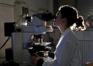 Il punto debole sta nel sistema di riproduzione
