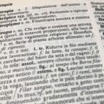 Quante parole ha la lingua italiana?