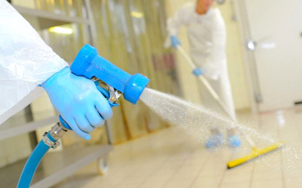 Disinfestazione e disinfezione: qual &egrave; la differenza, facciamo chiarezza?