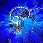 Dieta, cibo per la mente: gli alimenti per mantenere attivo il cervello