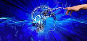 Dieta, cibo per la mente: gli alimenti per mantenere attivo il cervello