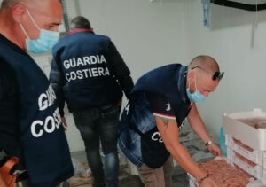 130 chili di pesce non tracciabile a Portopalo