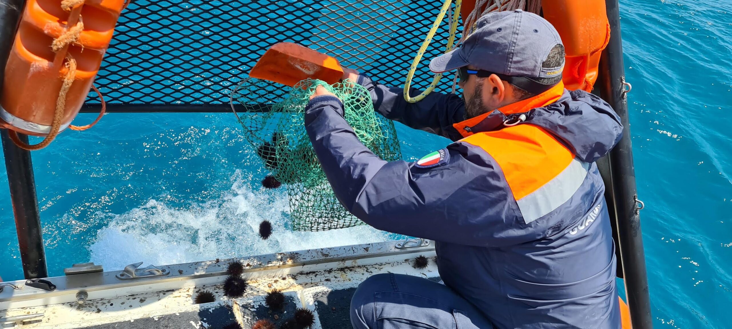 Pesca illegale di ricci di mare, multa da 2 mila euro a Punta Secca