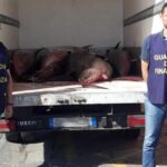 Sicilia, sequestrati più di 1000 chili di tonno rosso non tracciabile