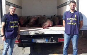 Sicilia, sequestrati più di 1000 chili di tonno rosso non tracciabile