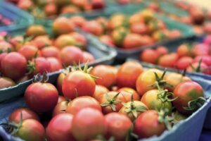 Dieta per l'estate: quando iniziarla?