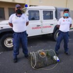 Sequestrata una nassa nel mare di Punta Ciriga