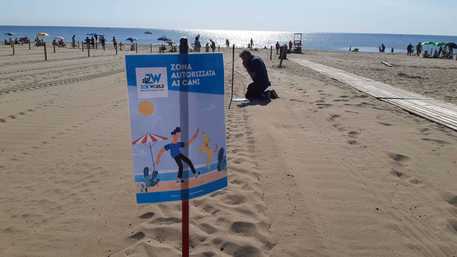 Fase 3: apre spiaggia libera 3 a Catania, servizio per cani