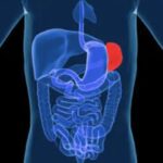 Raro intervento per una Splenectomia a ragusa