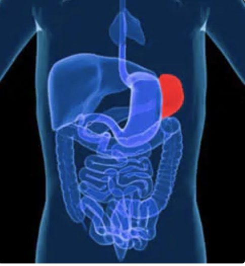 Raro intervento per una Splenectomia a Ragusa