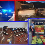 Sgominata banda di razziatori d'uva, 6 arresti dei Cc etnei