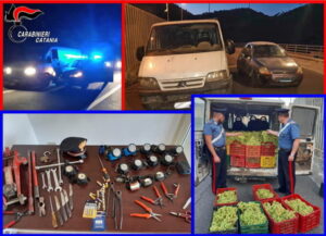 Sgominata banda di razziatori d'uva, 6 arresti dei Cc etnei