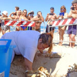 Anche le spiagge camarinesi hanno un nido di tartarughe