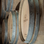 Rina Ianca di Santa Tresa, il Bio medaglia d'oro