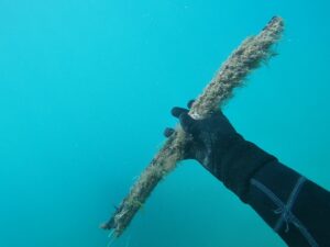 Settimana dell'Ambiente, si puliscono i fondali