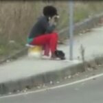 Giro prostituzione in centro migranti nel messinese, arresti