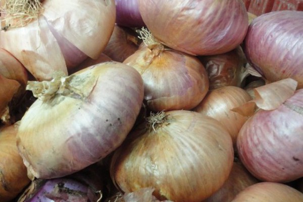 Salta edizione 2020 sagra della cipolla di Giarratana